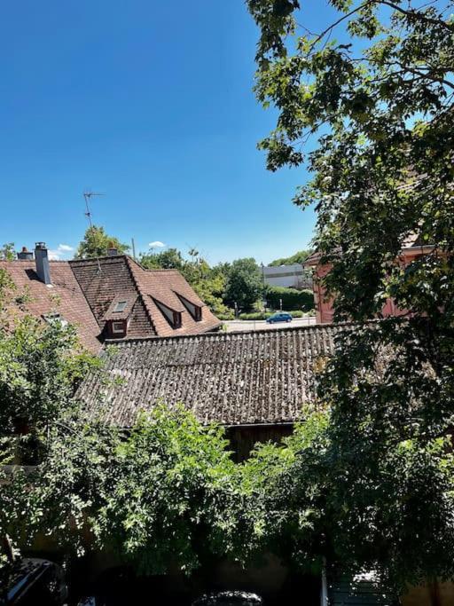 Appartement De Charme Alsacien, Centre Historique Sélestat Exterior foto